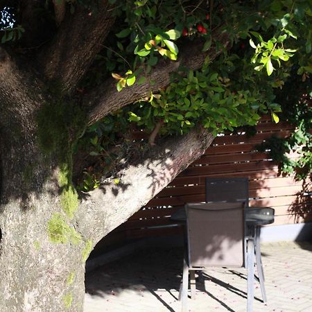 Reef View Bnb East London Bagian luar foto