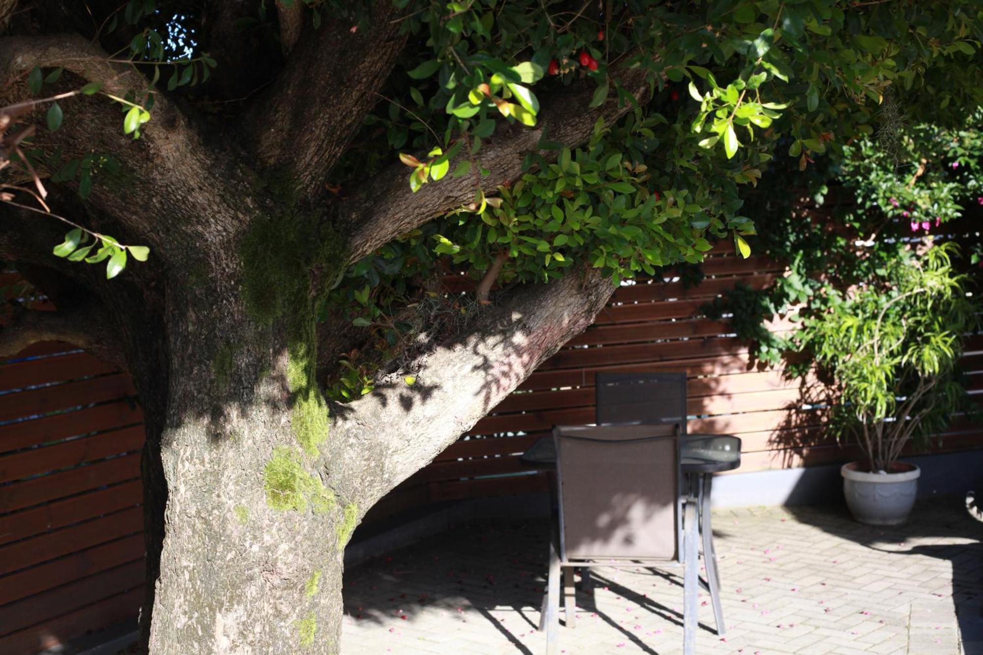 Reef View Bnb East London Bagian luar foto